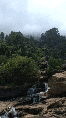 Video clip of Attukad depicting misty hill tops, tea estates on the slopes and the water gushing through many different paths