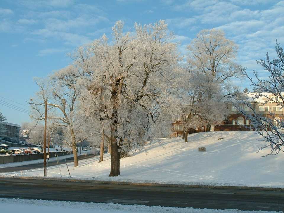 Snowy sloping grounds in front of a large house