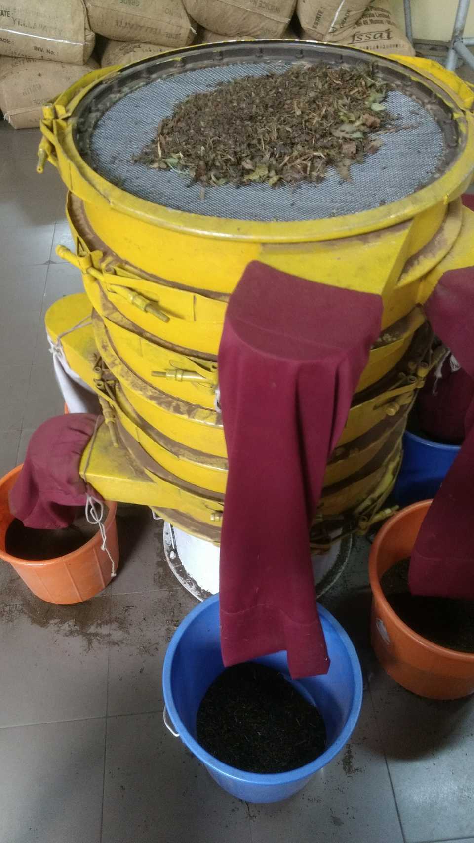 Green and black teas being dried and separated into various grades