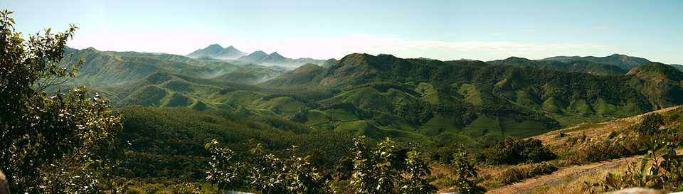 Hills around tea plantations at Munnar